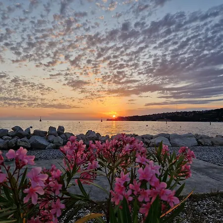 Bea - Saltpans View * Portoroz