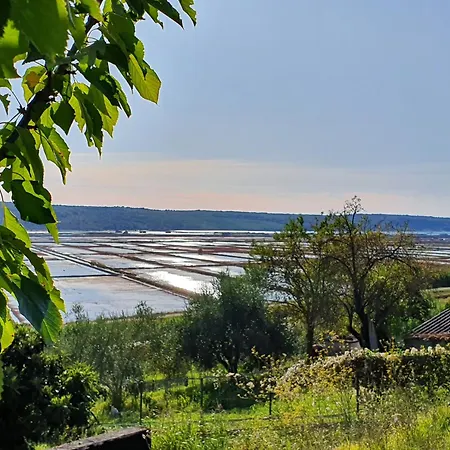 Bea - Saltpans View *