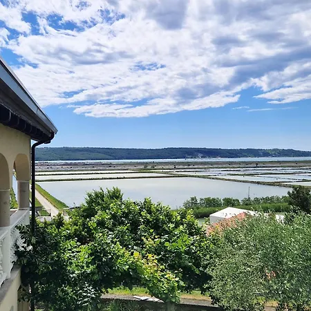 Bea - Saltpans View *