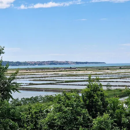 Bea - Saltpans View Portorož